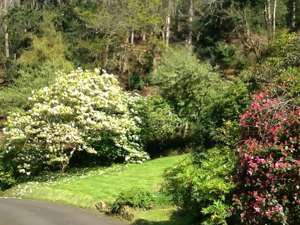 Glen Lodge Porlock Exterior foto